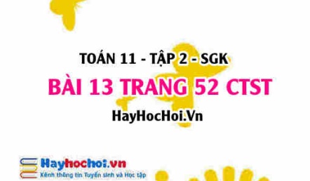 Bài 13 trang 52 Toán 11 tập 2 Chân trời sáng tạo